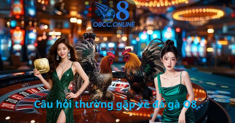 Câu hỏi thường gặp về đá gà O8