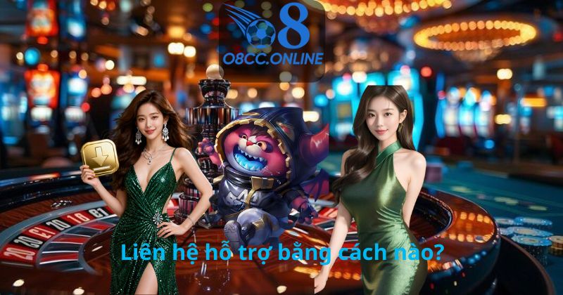 Liên hệ hỗ trợ bằng cách nào?